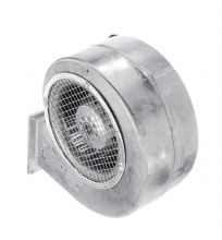 G2D146-BF04-12