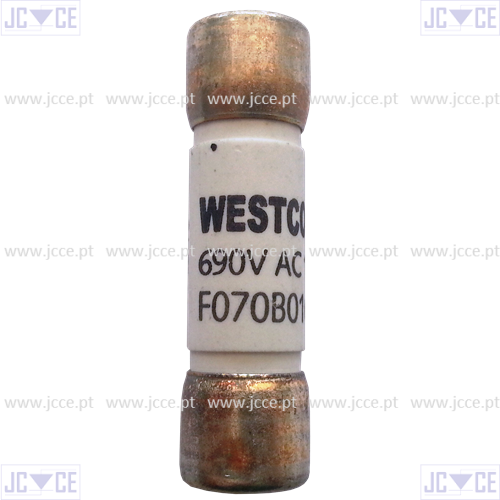 F070B010S